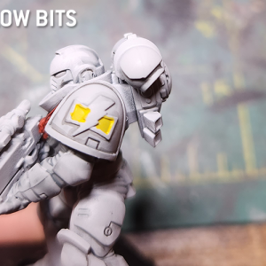 WhiteScars_HTPE_Step3