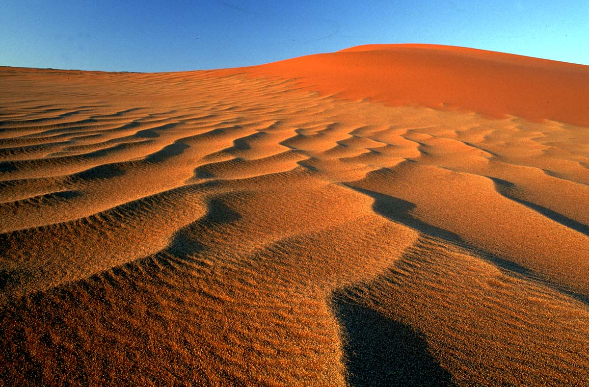Basing Tutorial #2 Desert 🌵