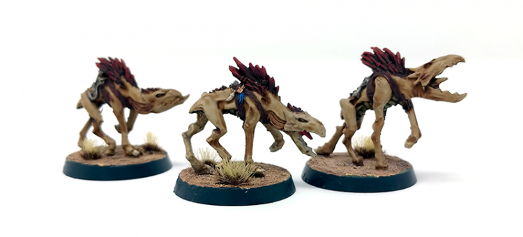 Kroot Hounds