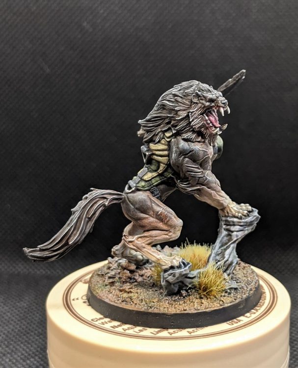 How to Paint Everything: Werewolves and Wolfmen (and fur) | Goonhammer