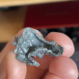 Helbrecht WIP. Credit: SRM