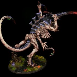 Dimachaeron. Credit: Rockfish
