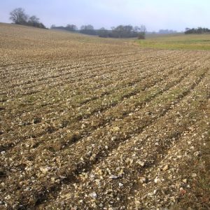 Ploughed_chalk_field_at_Hog_Leaze_-_geograph.org.uk_-_95252