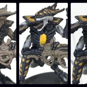 DC67C244-85C5-49B5-BEC8-8EEE41A17569