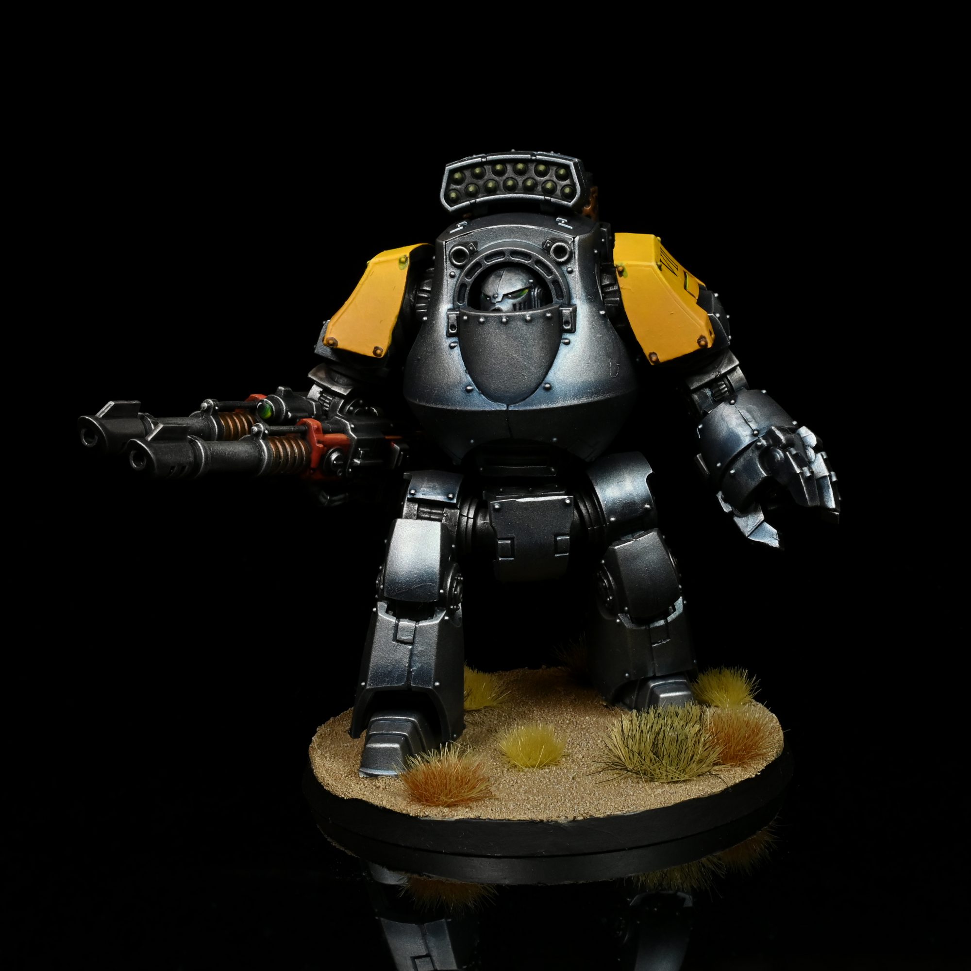 Contemptor. Credit: Rockfish