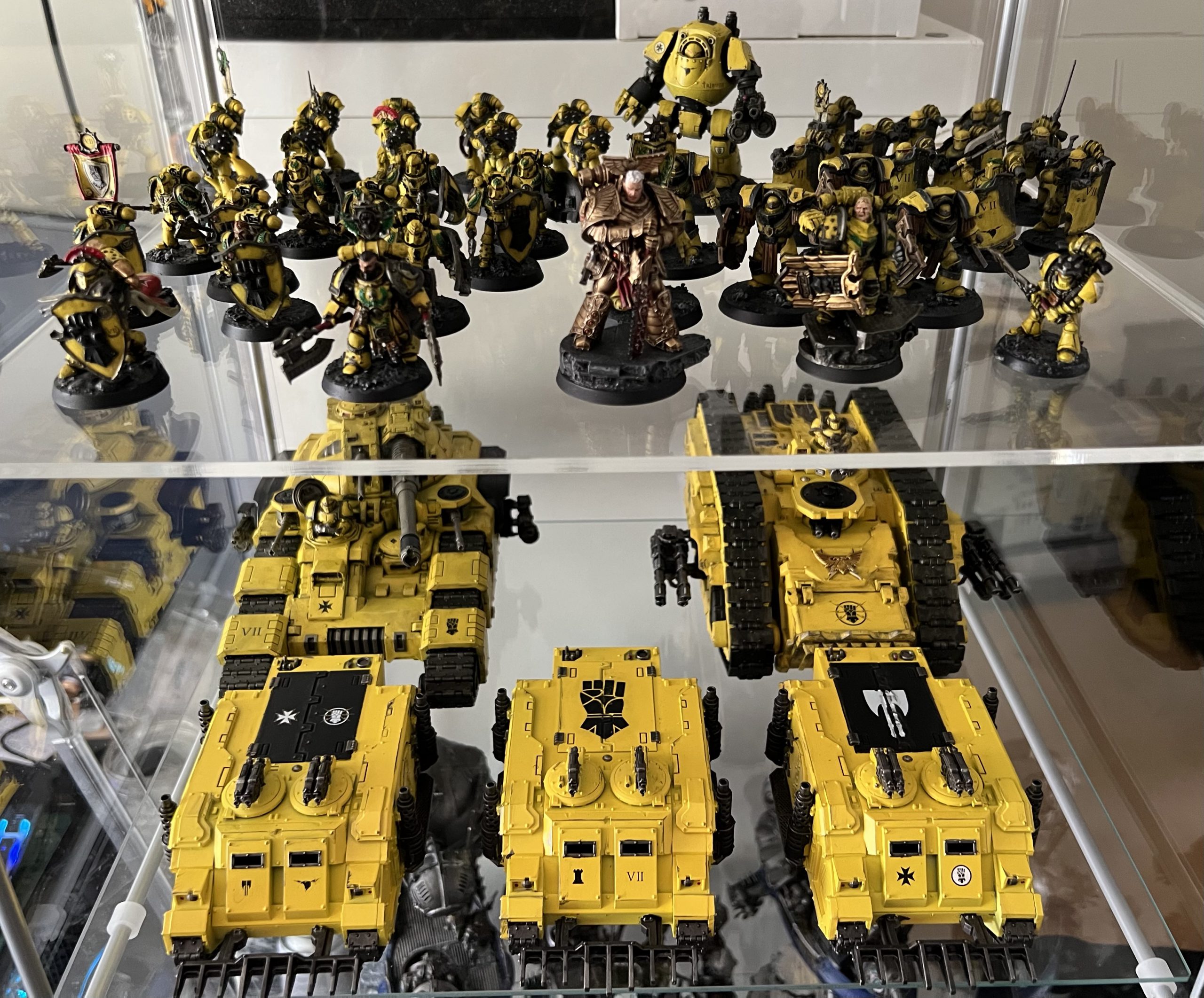 Contemptor. Credit: Rockfish