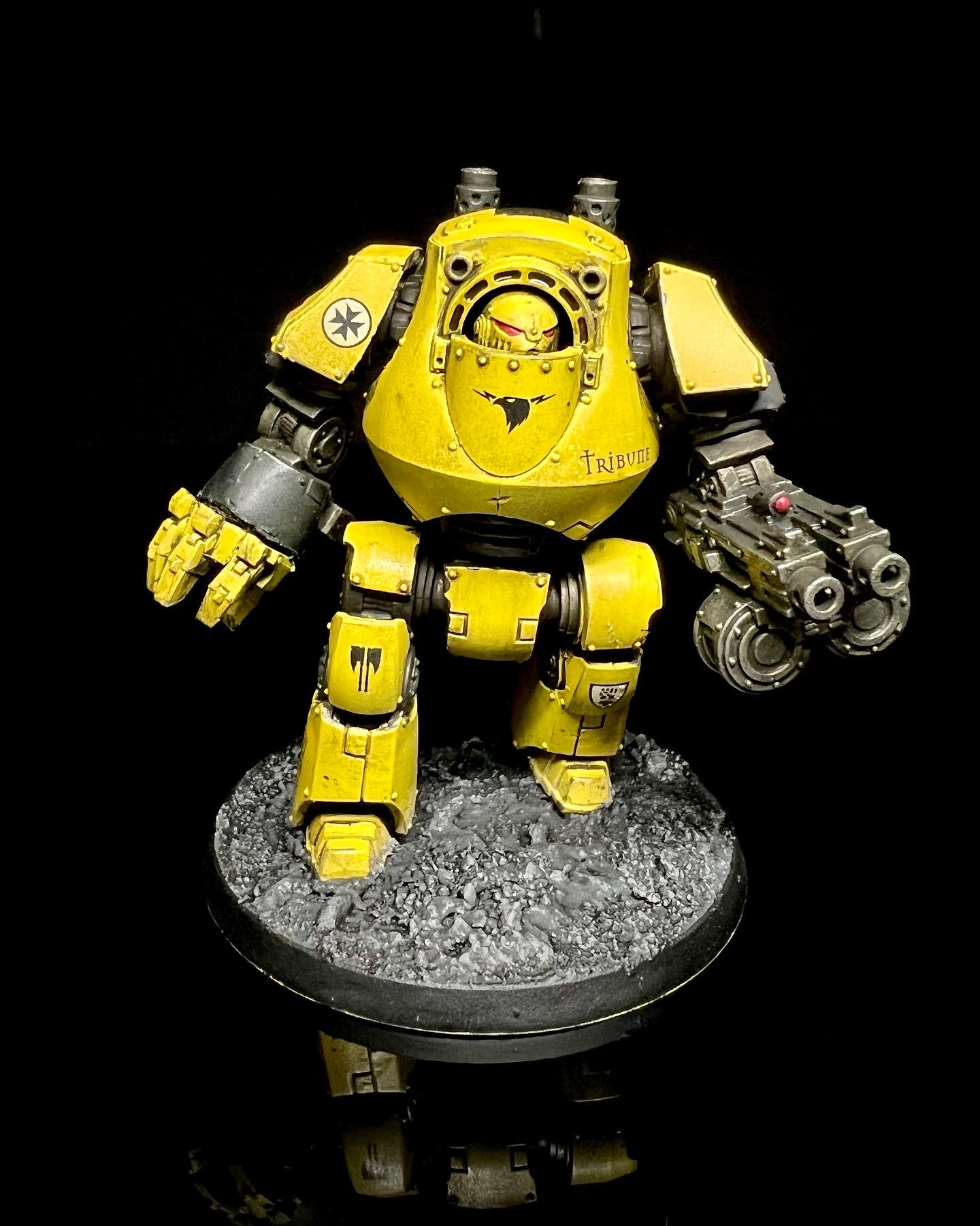Contemptor. Credit: Rockfish