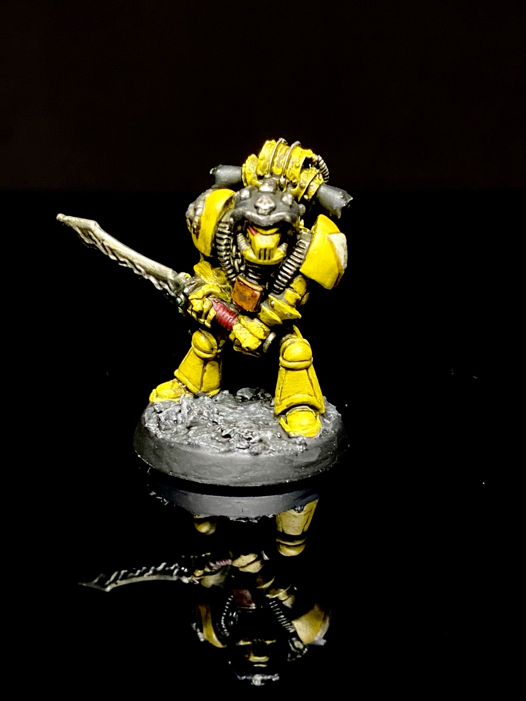 Contemptor. Credit: Rockfish