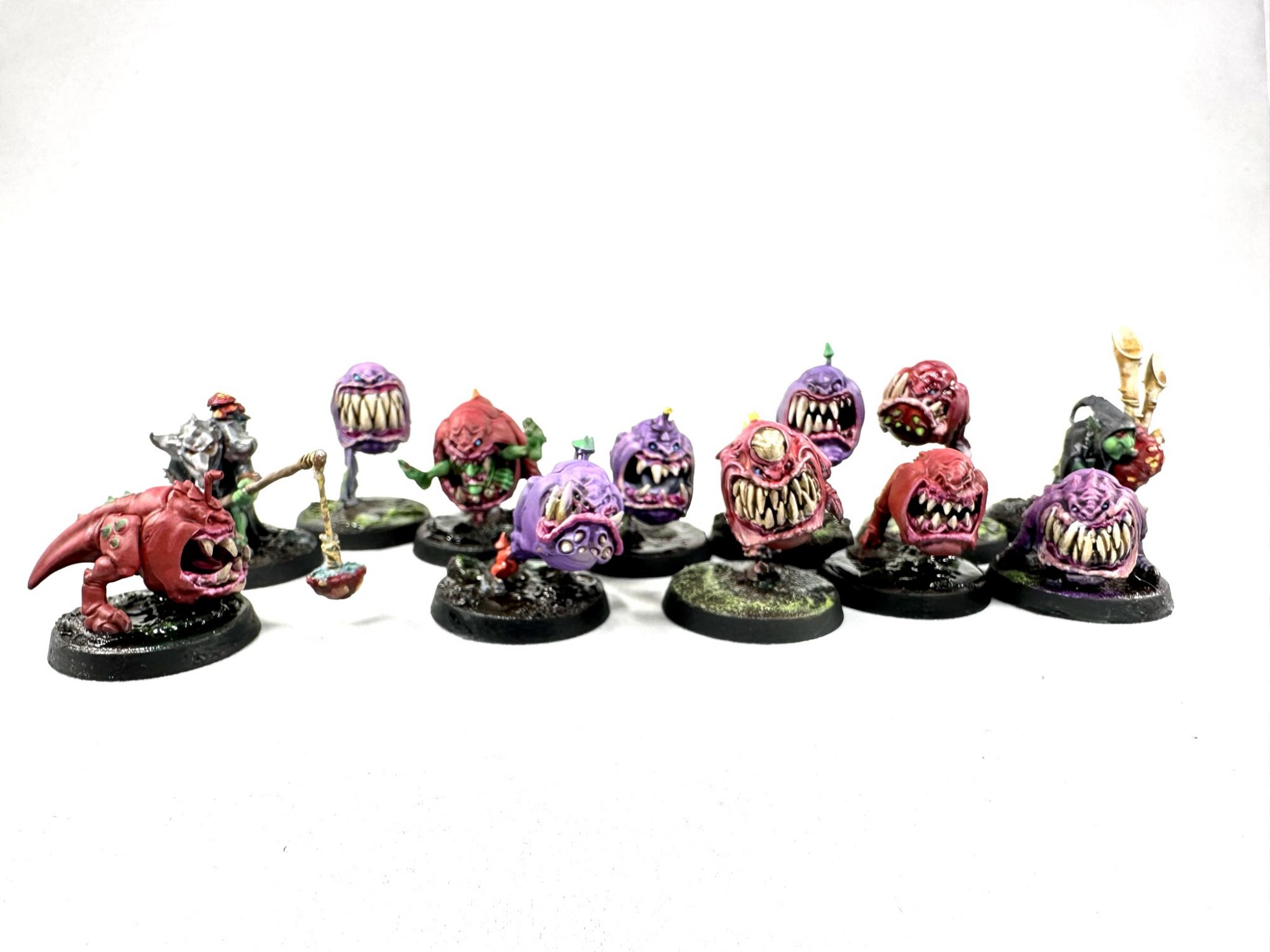 Squig Herd