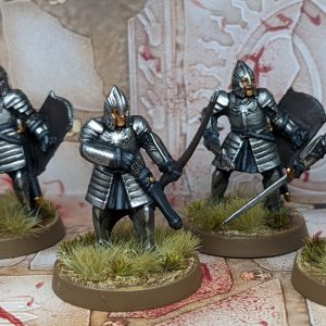 Men of Minas Tirith