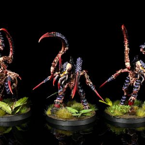 Von Ryan’s Leapers. Credit: Rockfish