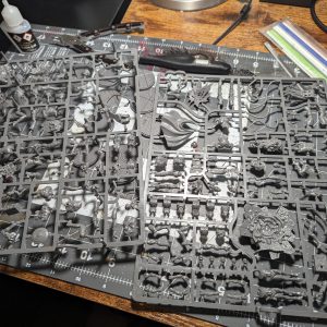 PXL_20231015_005523057