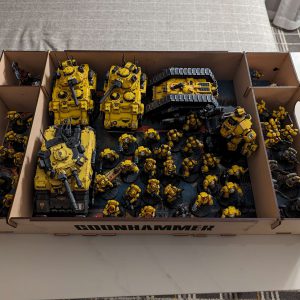 PXL_20231117_000749116