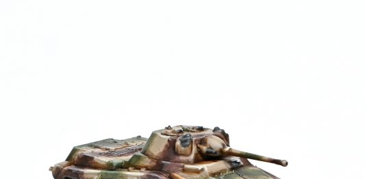 Puma. Credit: Rockfish