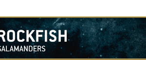 Salamanders_Rockfish_Header