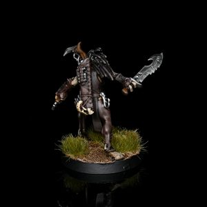 Kroot Flesh Shaper. Credit: Rockfish