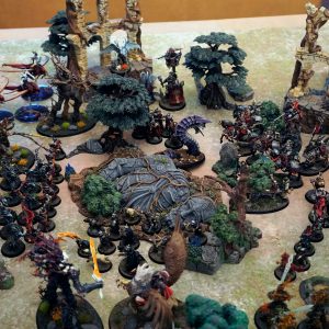 Battle 1 Cities of Sigmar