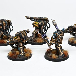 Havocs. Credit: Rockfish