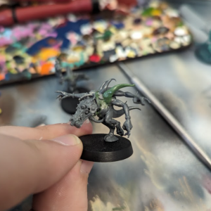 Greenstuffed tentacle