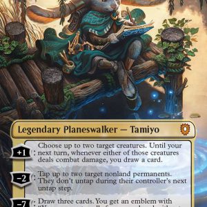 Tamiyo Field Researcher_What-If