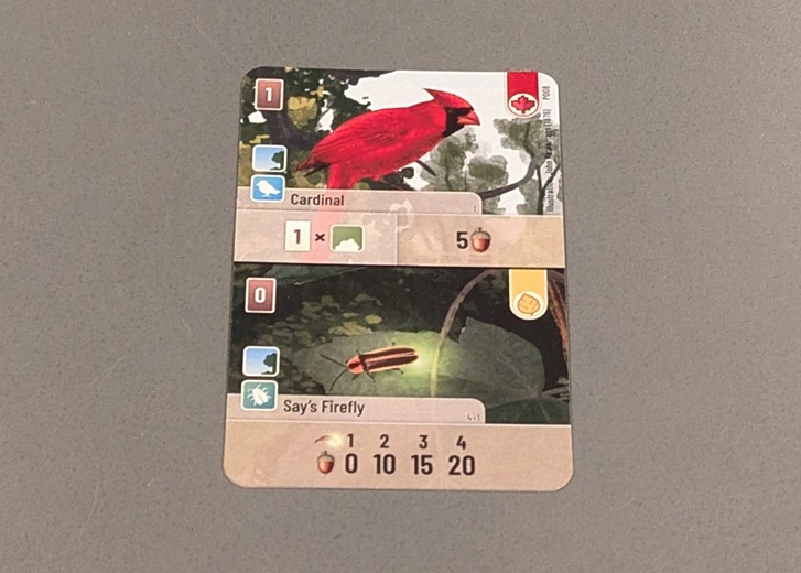 Forest Shuffle GenCon-exclusive card