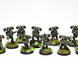 Tempestus Aquilons. Credit: Rockfish