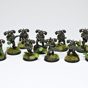 Tempestus Aquilons. Credit: Rockfish