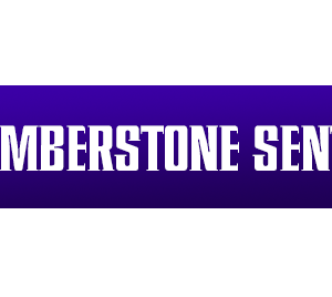 emberstone-sentinels