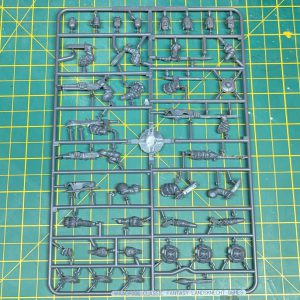 PXL_20241118_215902199.MP