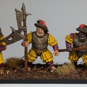 PXL_20241206_234238449.MP~2