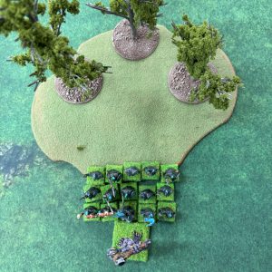 Half-Empty-Forest-Unit