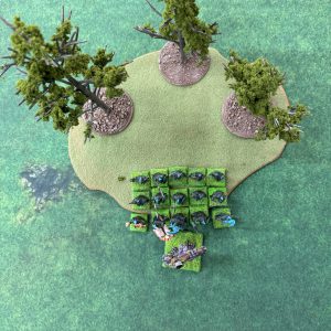 Half-Full-Forest-Fight