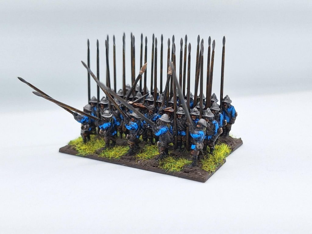 A regiment of Swedish Soldiers wearing blue