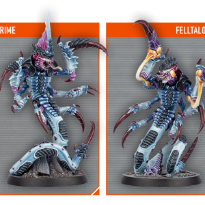 carousela1-kf6medyslu