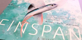 Finspan box art
