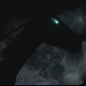 Rice Shower Commercial