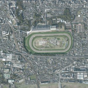 Tokyo-Racecourse_aerial_2019