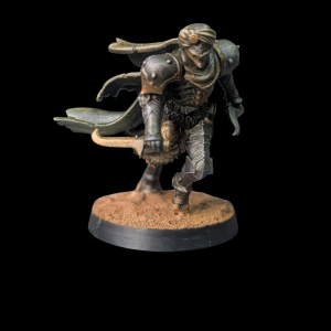 Iron Sultanate Assassin