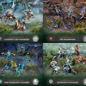Seekers in Shadow warbands
