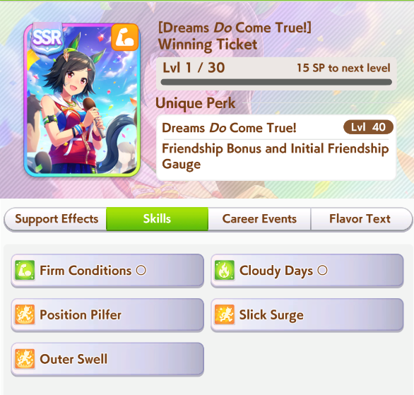 SSR Winning Ticket Power