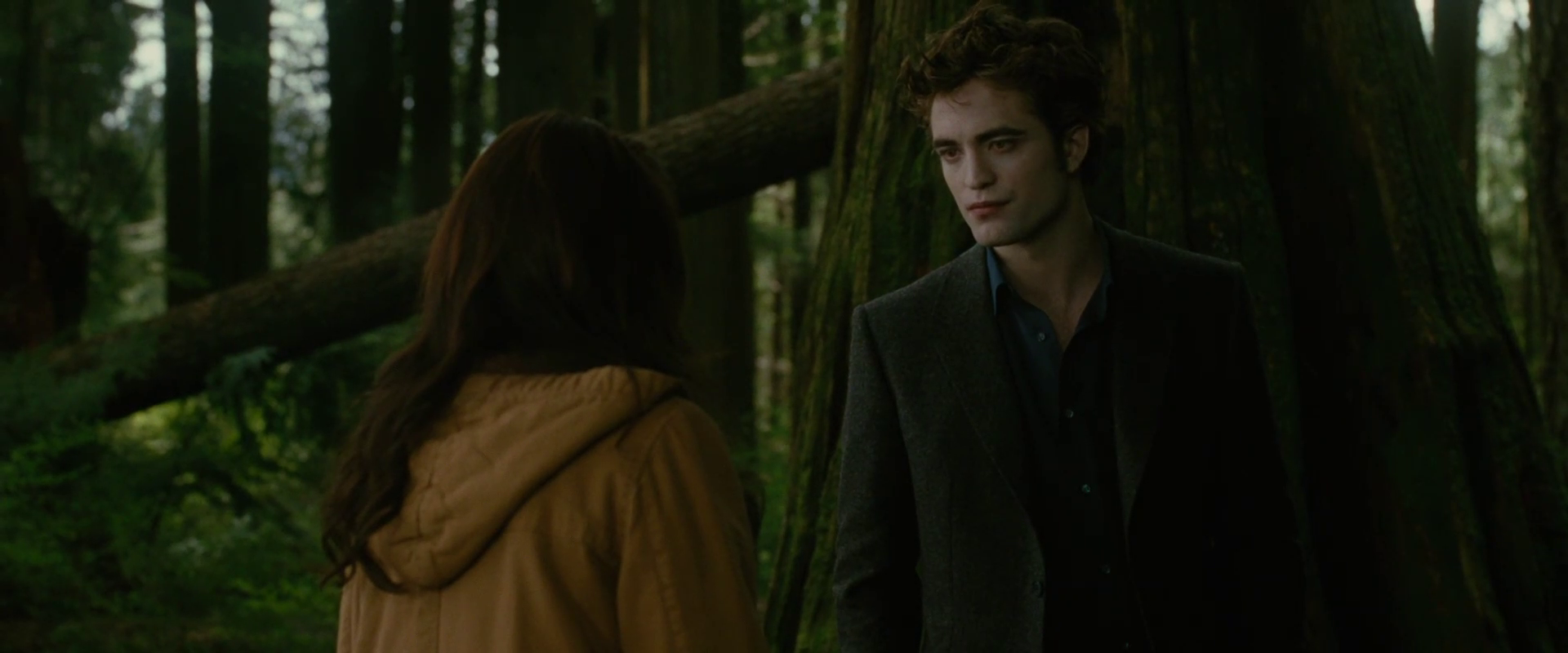 Twilight' Returns To Theaters Ahead Of Netflix's 'Midnight Sun', image size:1920x800