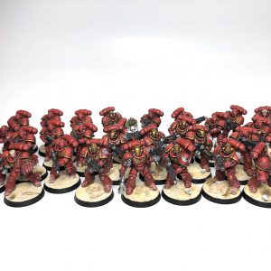 Blood Angels Intercessors