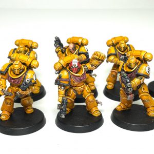 Imperial Fists Intercessors