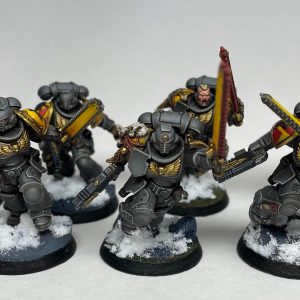 Space Wolves Intercessors